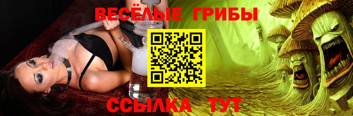 Псилоцибиновые грибы мухоморы Чапаевск