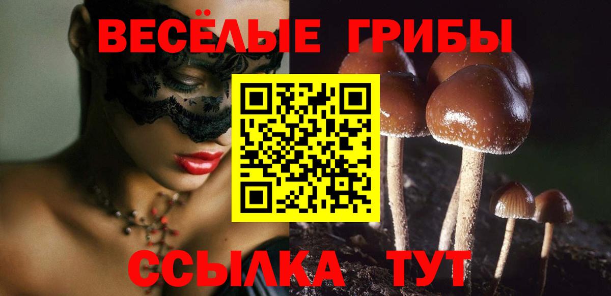 Чапаевск  Псилоцибиновые грибы MAGIC MUSHROOMS  Вход с VPN 